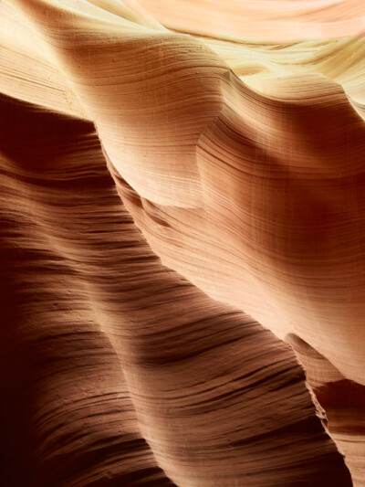 ART APPLETREE Galerie - Künstler - Jakob Bosch ART APPLETREE Galerie - Künstler - Jakob Bosch